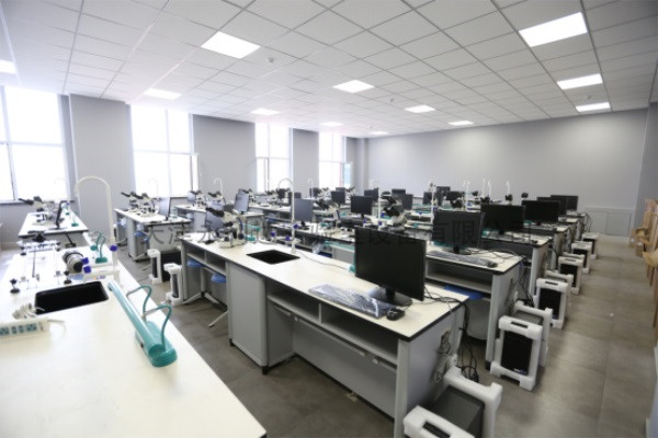 学生全网网赌游戏桌（生物）